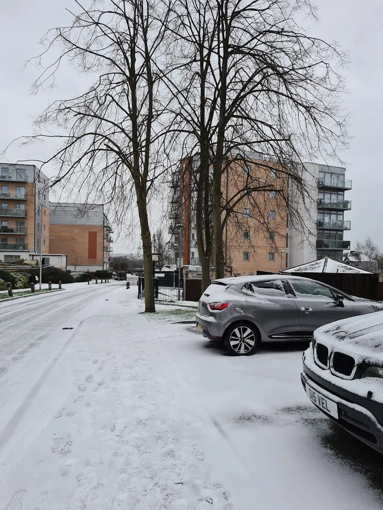 Southend Road Woodford Green (Stop M)