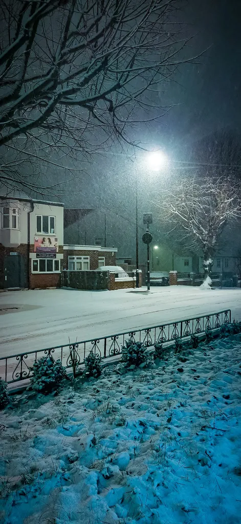Sunnydene Avenue