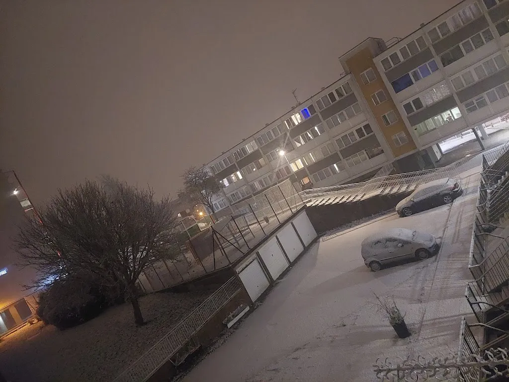 Sydenham High School (Stop X)