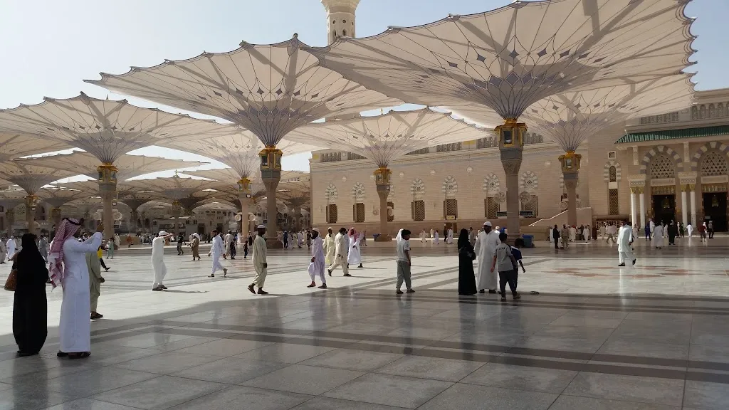 Tazkiyah Tours