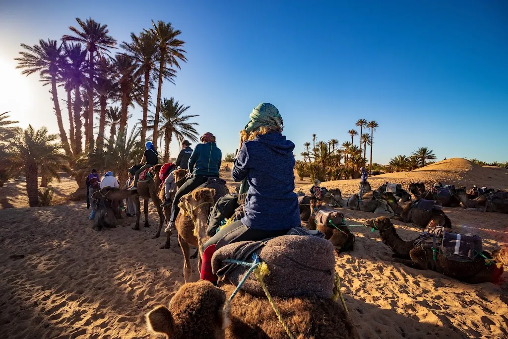 The Alternative Morocco