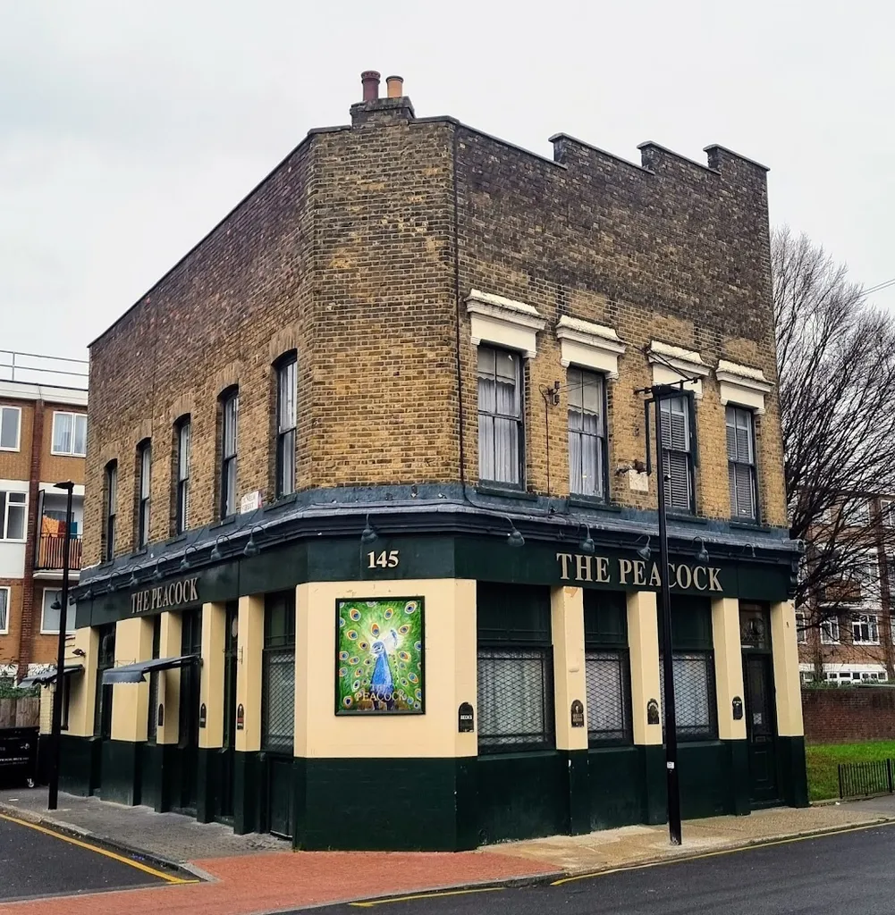 The Peacock