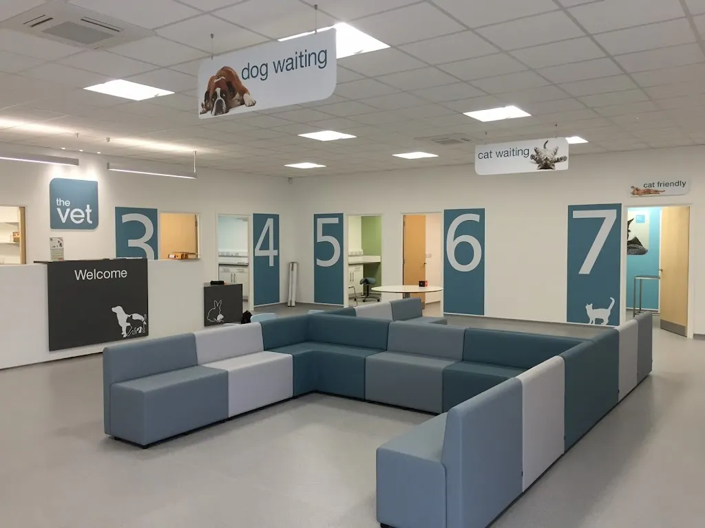 The Vet Waltham Forest