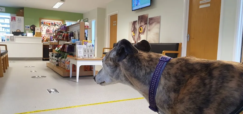 The Wylie Veterinary Centre Ltd
