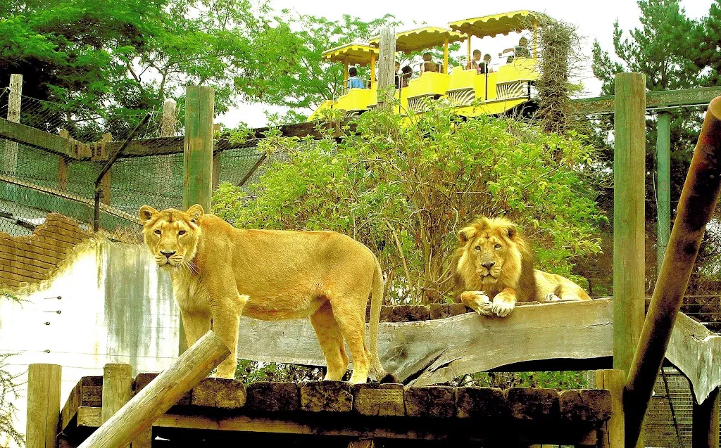 Trail of the Kings