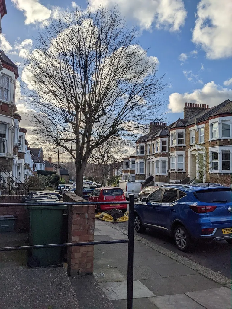 Tressillian Road