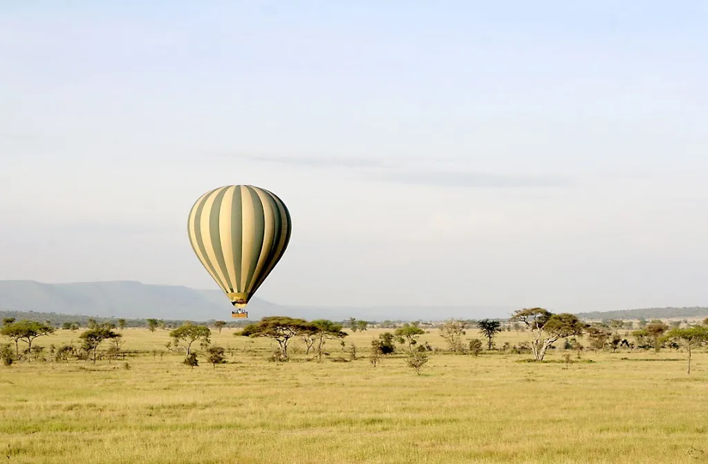 UBON Safari