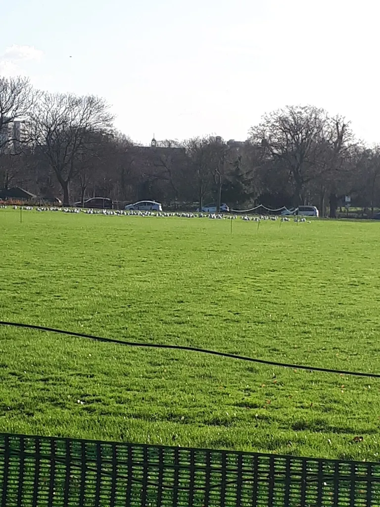 Valentines Park (Stop VP)