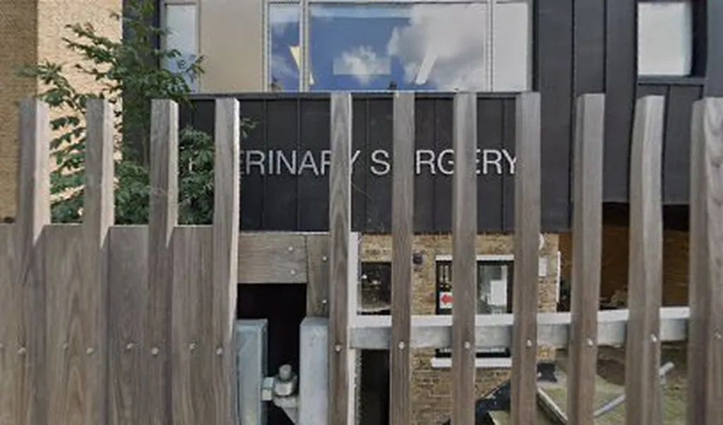 Veterinary Surgery