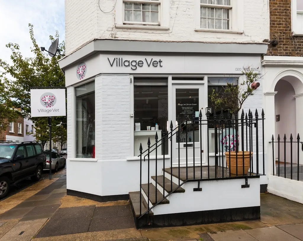 Village Vet Brook Green