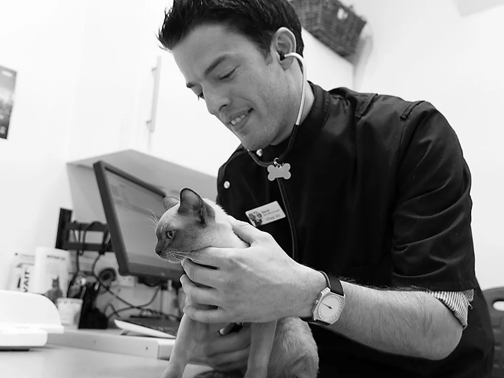 Village Vet Ealing