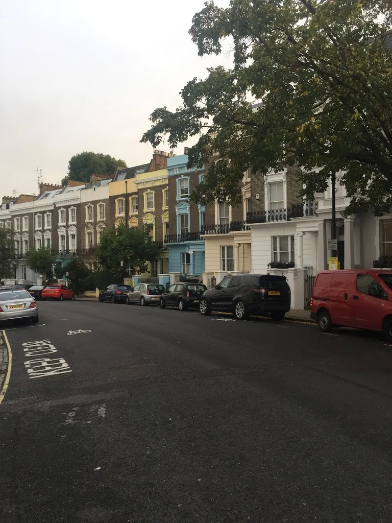 Village Vet Primrose Hill