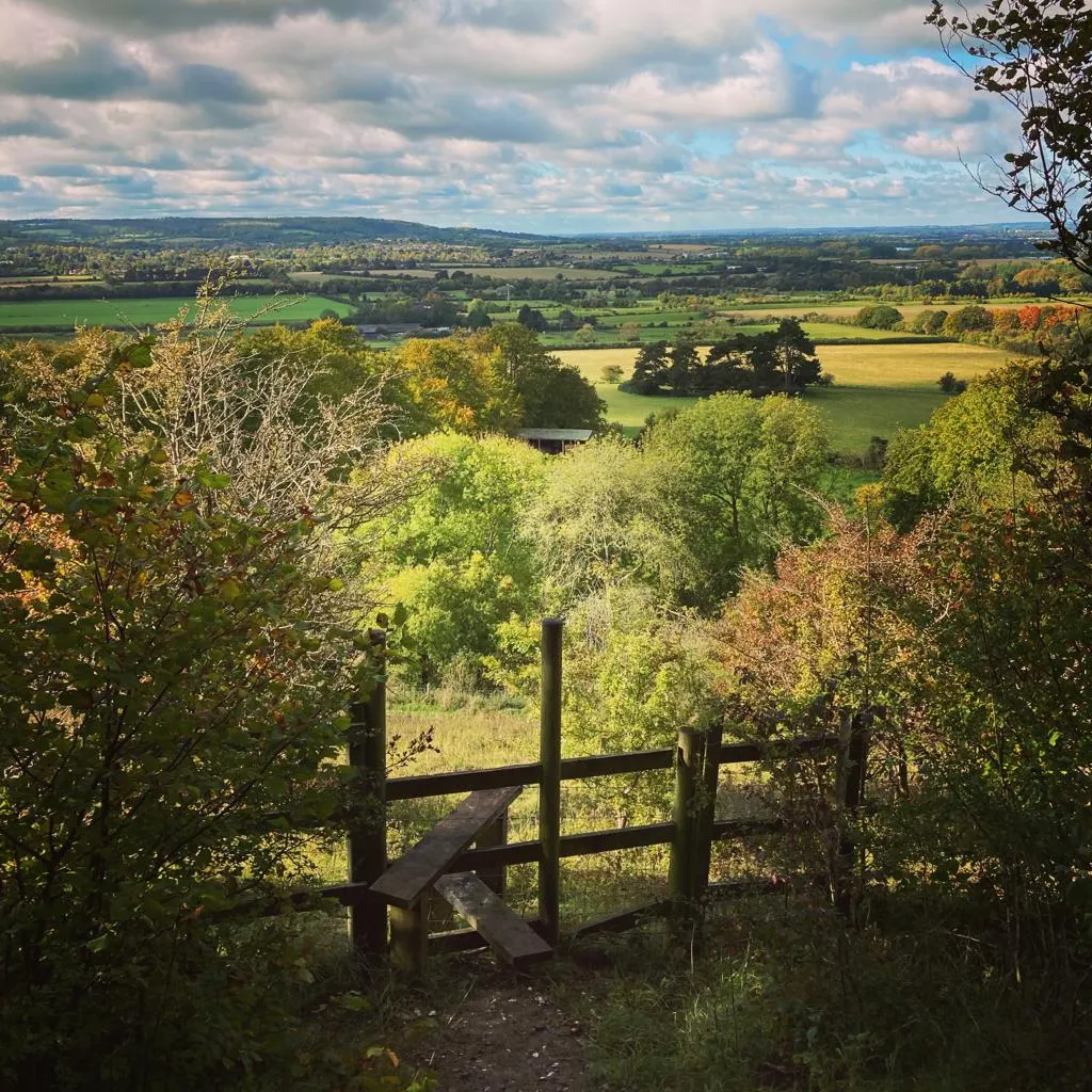 Walking Post