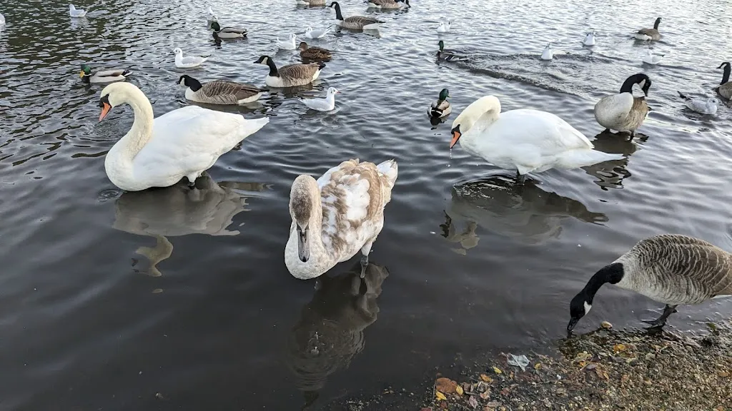 Wanstead Flats (Stop B)