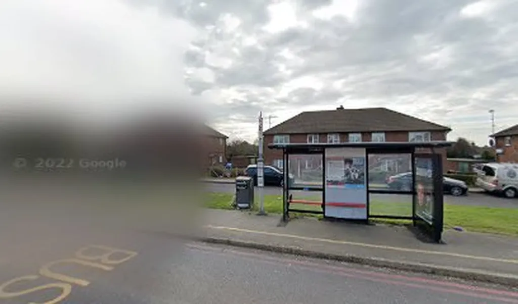 Whalebone Lane North (Stop ED)