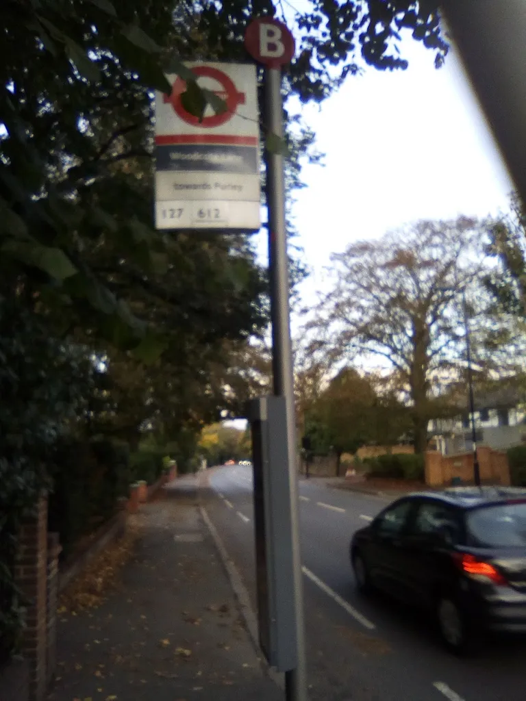 Woodcote Lane (Stop B)