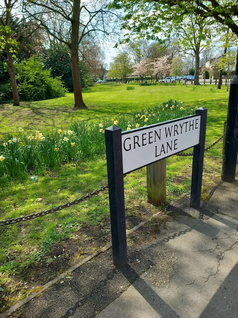 Wrythe Green (Stop D)
