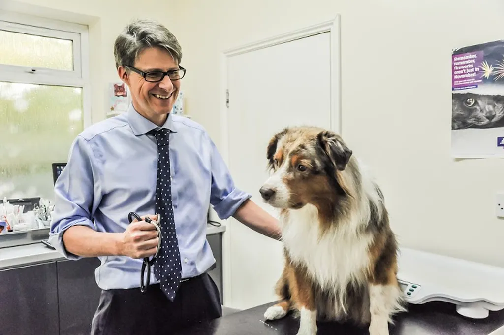 Young Veterinary Partnership