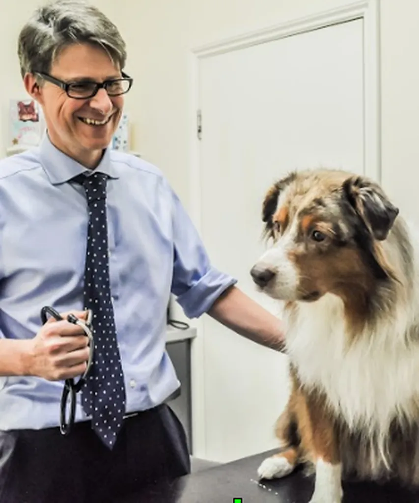 Young Veterinary Partnership Brentford
