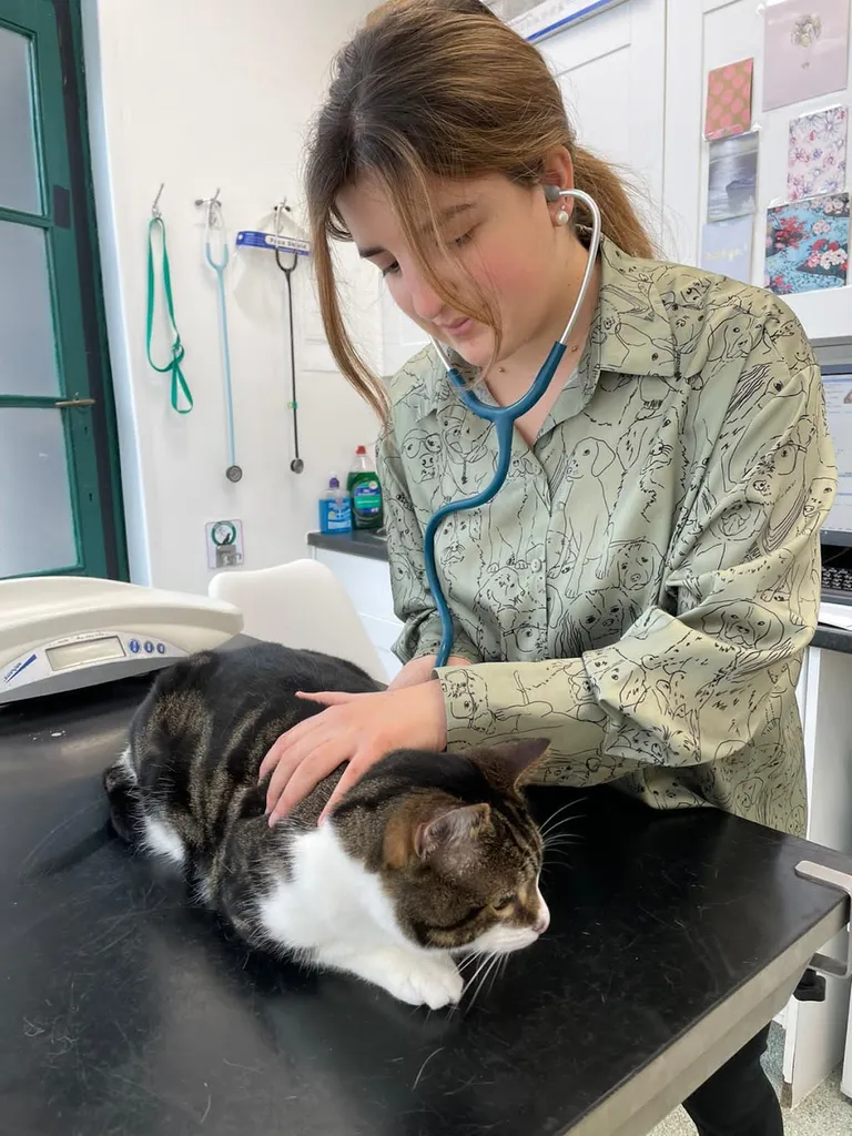 Young Veterinary Partnership Ealing