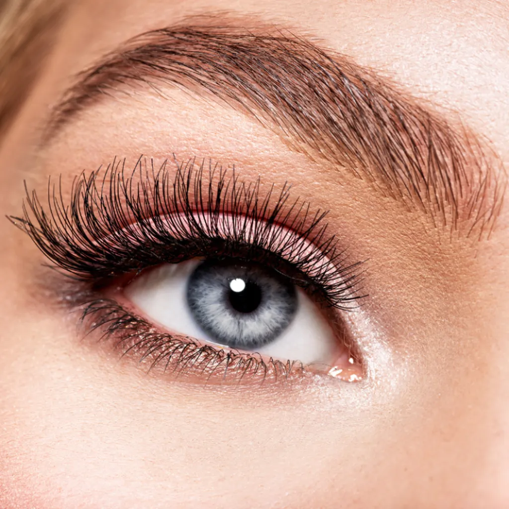 Alex Lash & Beauty