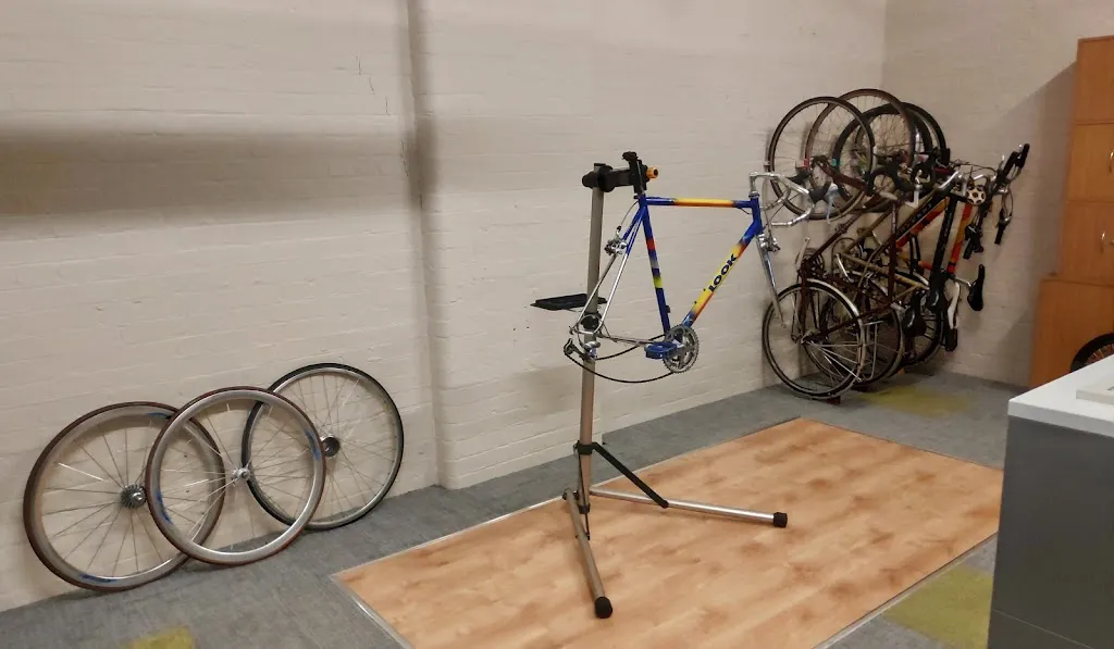 Back in the Saddle Bikes