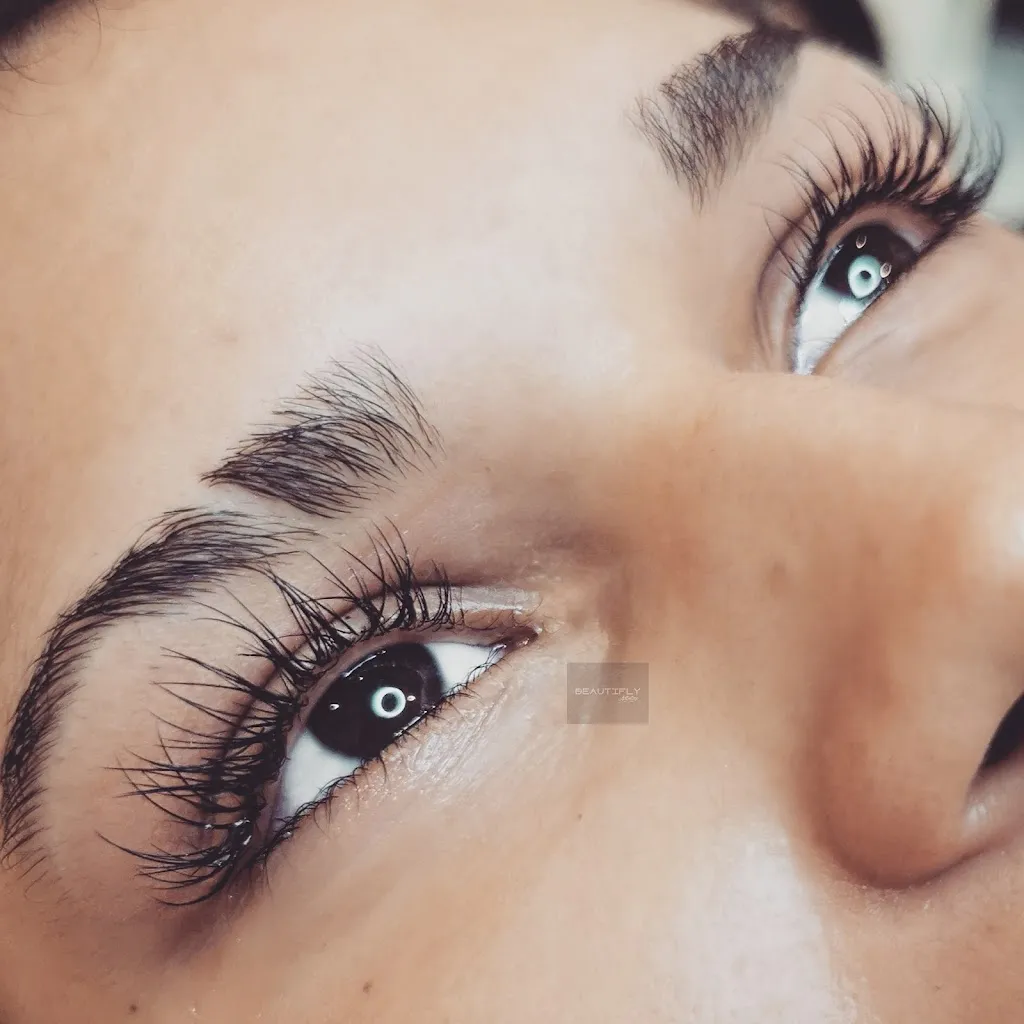 Beautifly Artistry