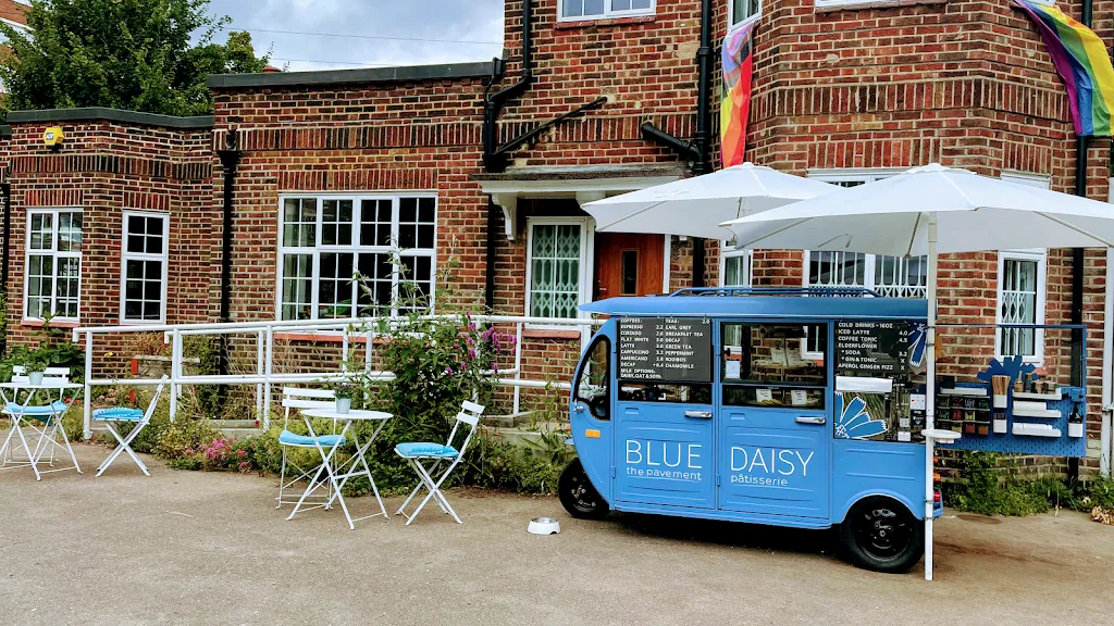 Blue Daisy