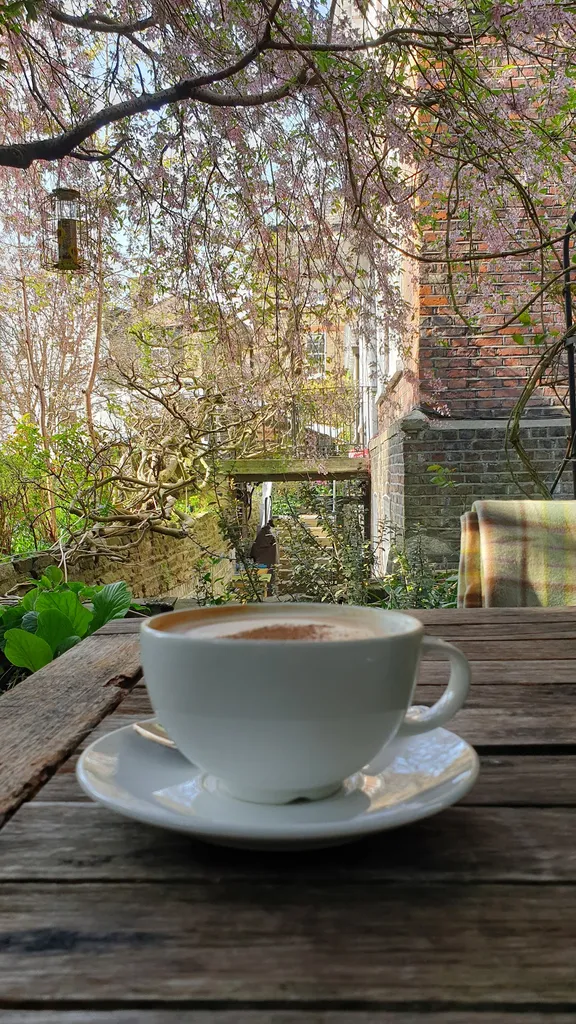 Burgh House Cafe