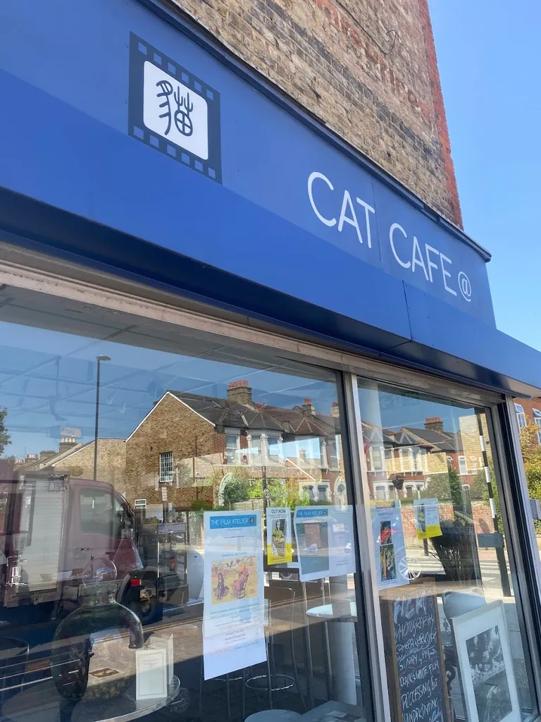 CAT CAFE