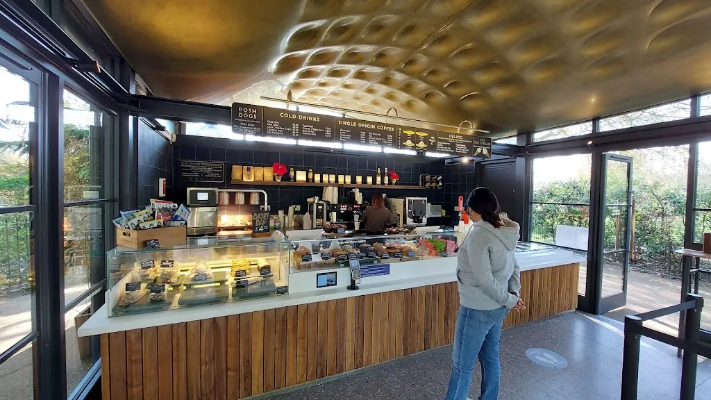 Colicci Serpentine Coffee House