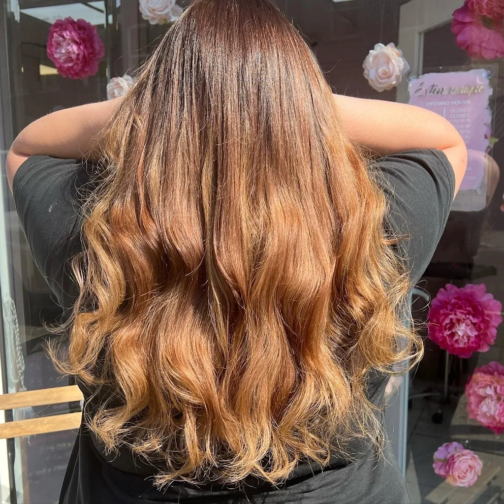 Extensionique