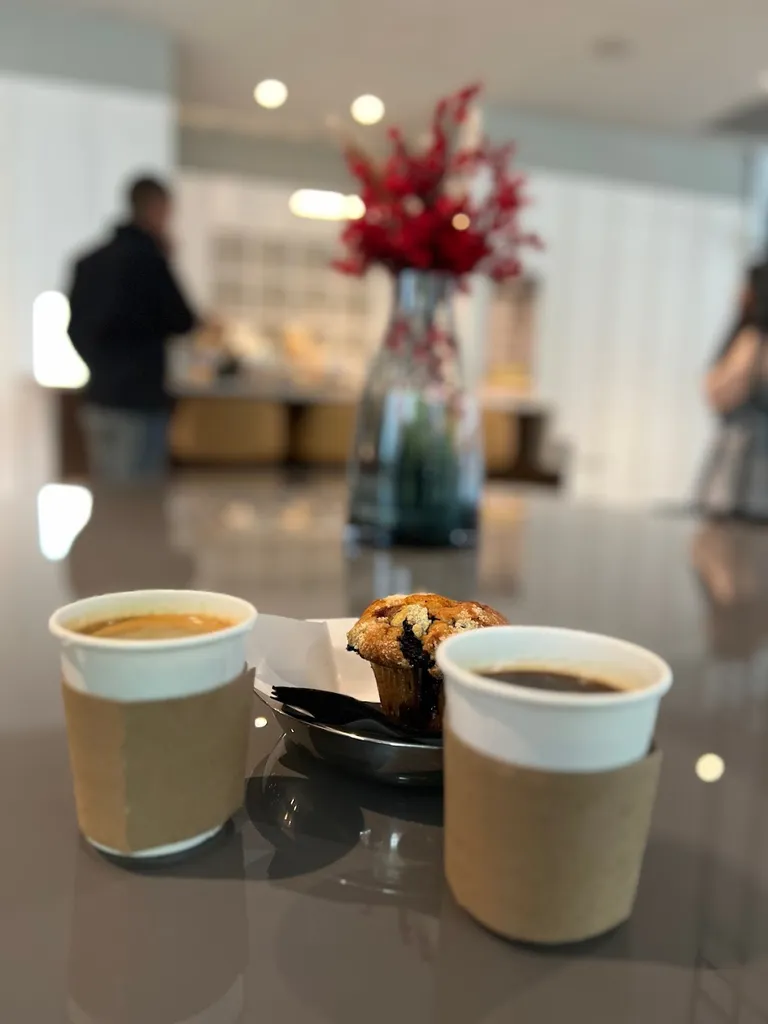 Frequency Coffee Paddington