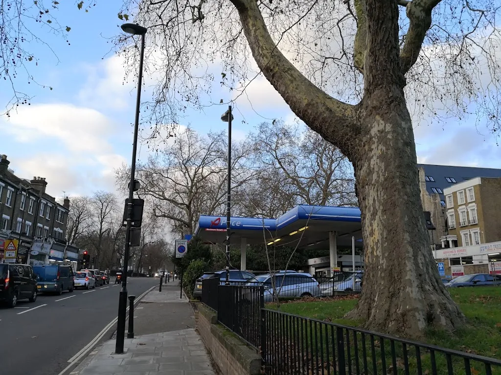 Gordon House Road (Stop GZ)