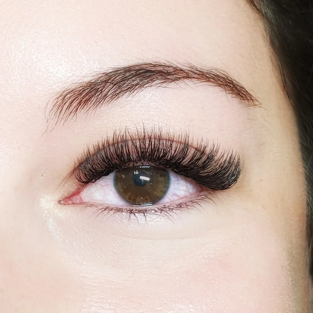 LASH-ZONE
