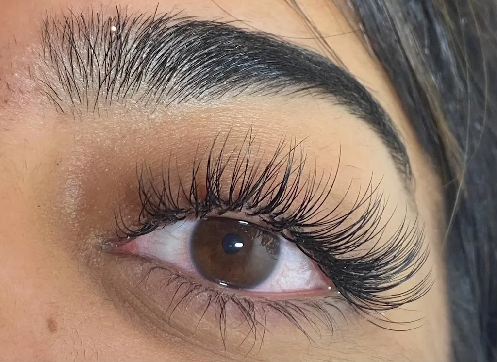 Lauren Beauty
