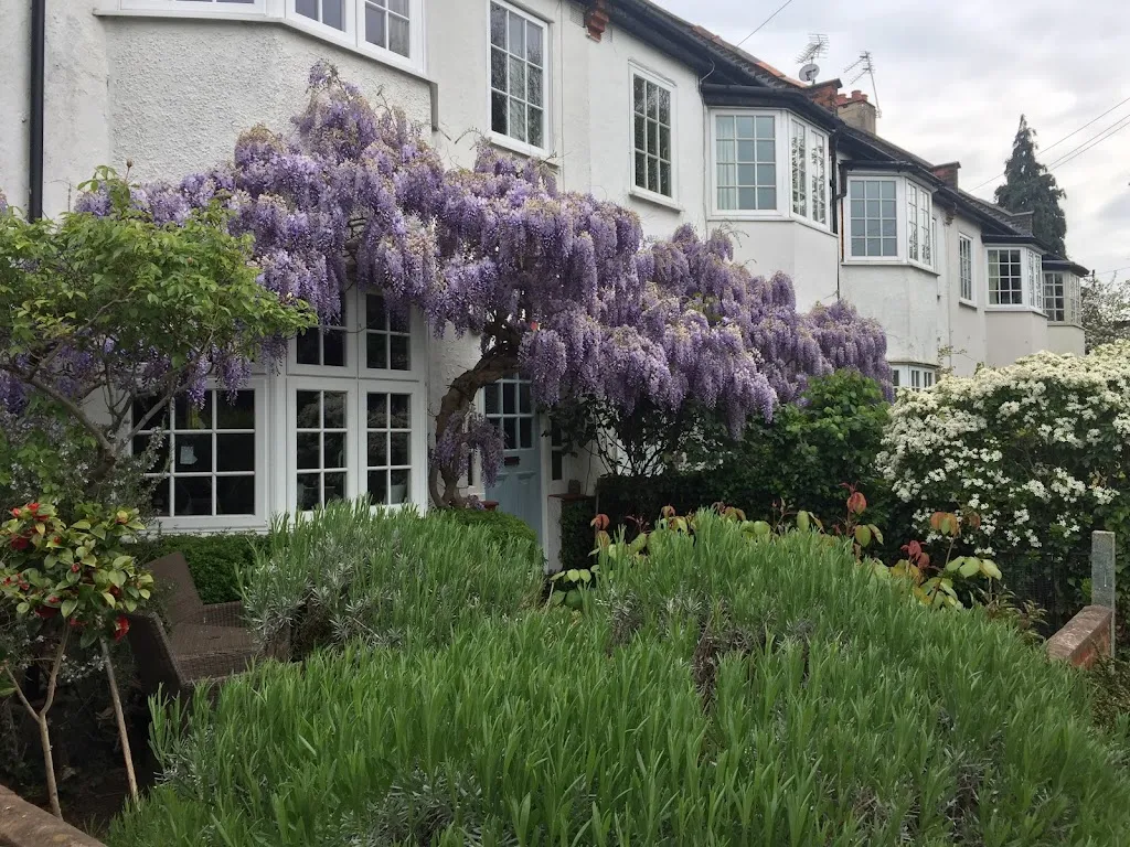 Mokarabia 1 Mokarabia