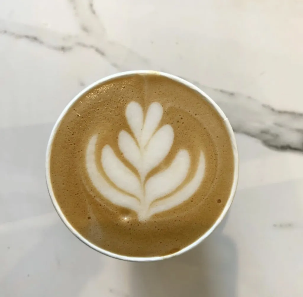 Park Life Café - Clissold Park