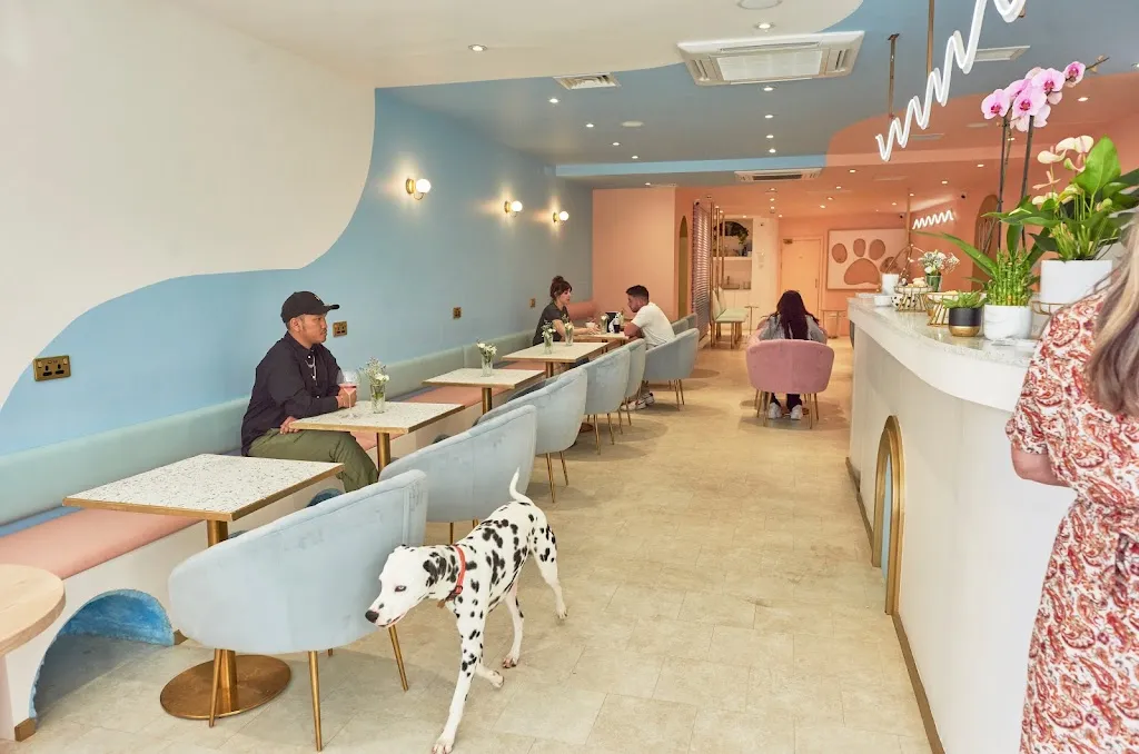 Pawsitive Cafe