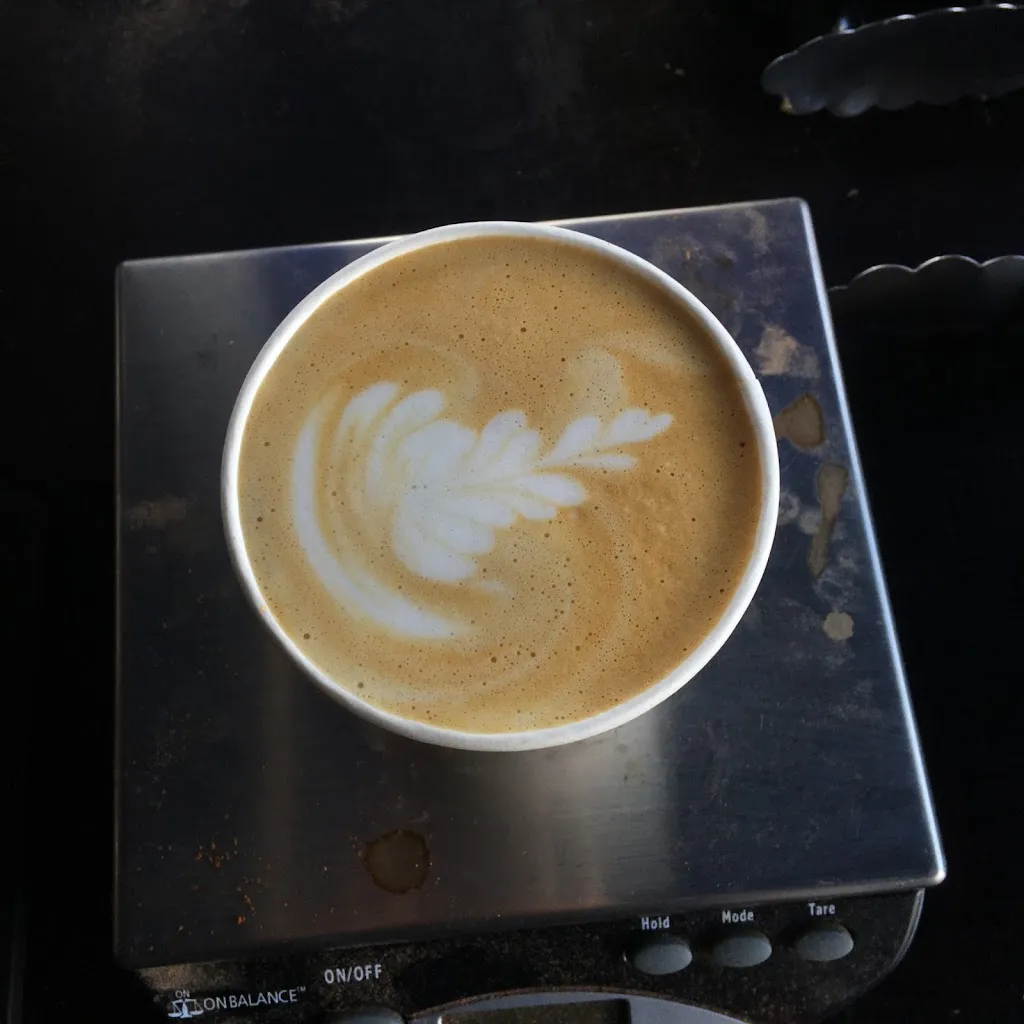 PLOT COFFEE