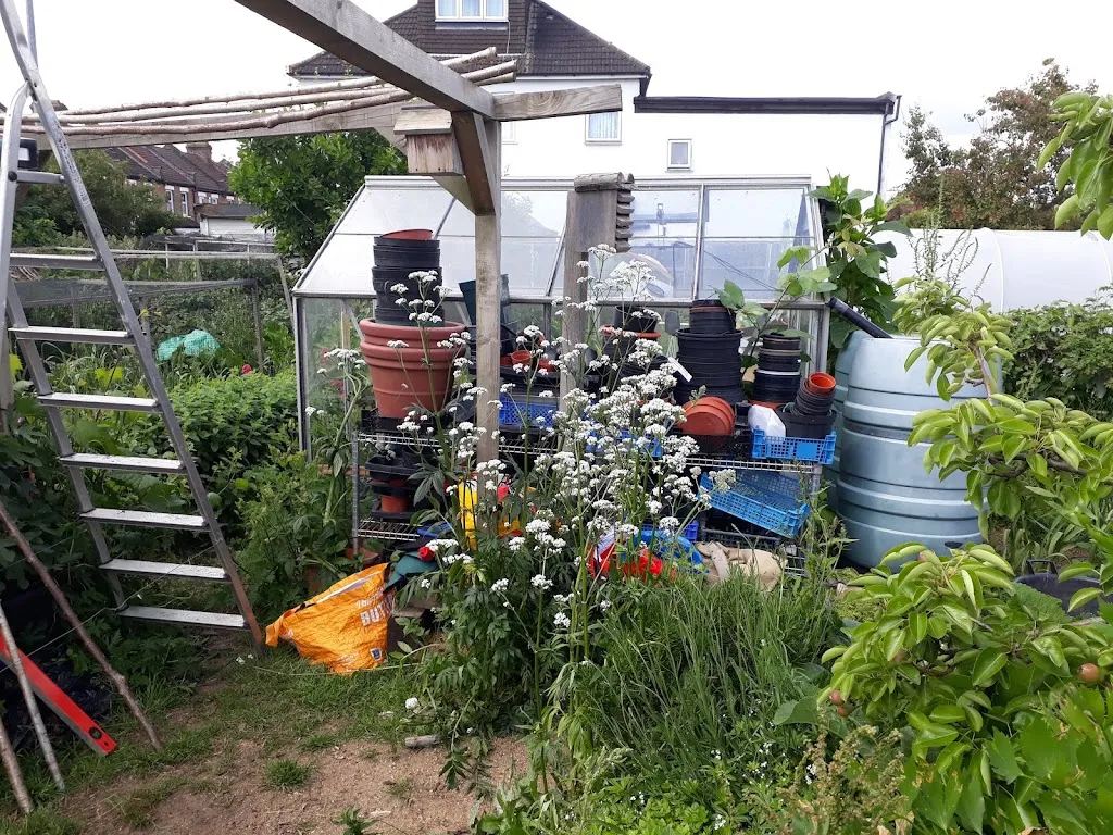 Spa Hill Allotments