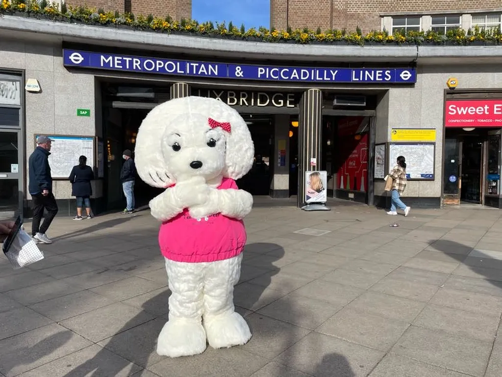 Teddy Bear Bubble Tea Uxbridge