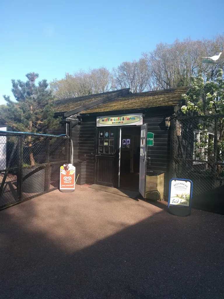 The Waffle Cafe
