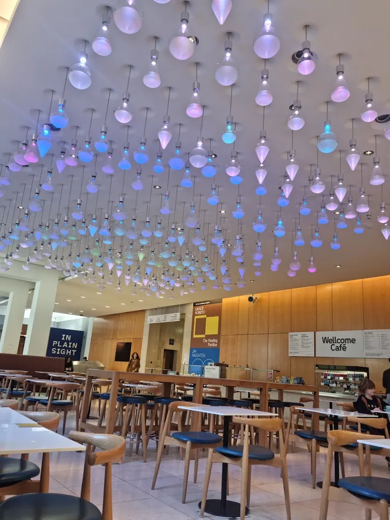 Wellcome Collection Cafe 1 Wellcome Collection Cafe