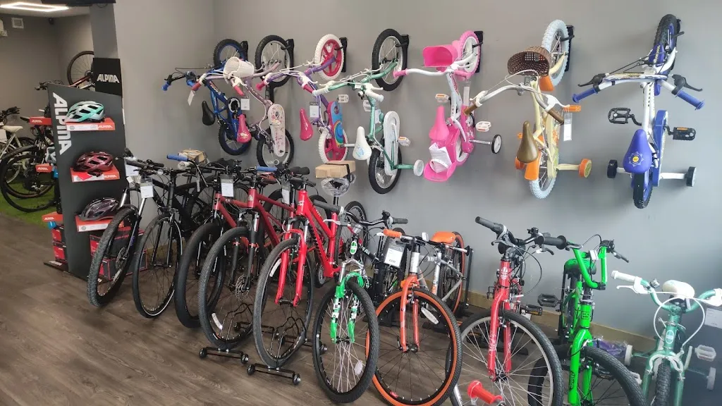 Wheel Good Bike Shop