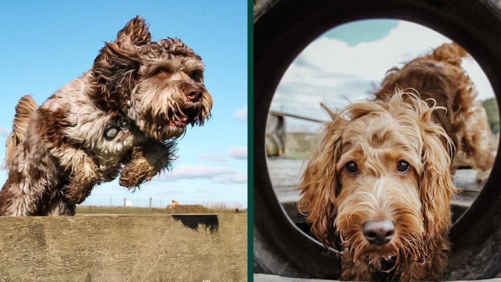 to Hampstead Hampstead Village London