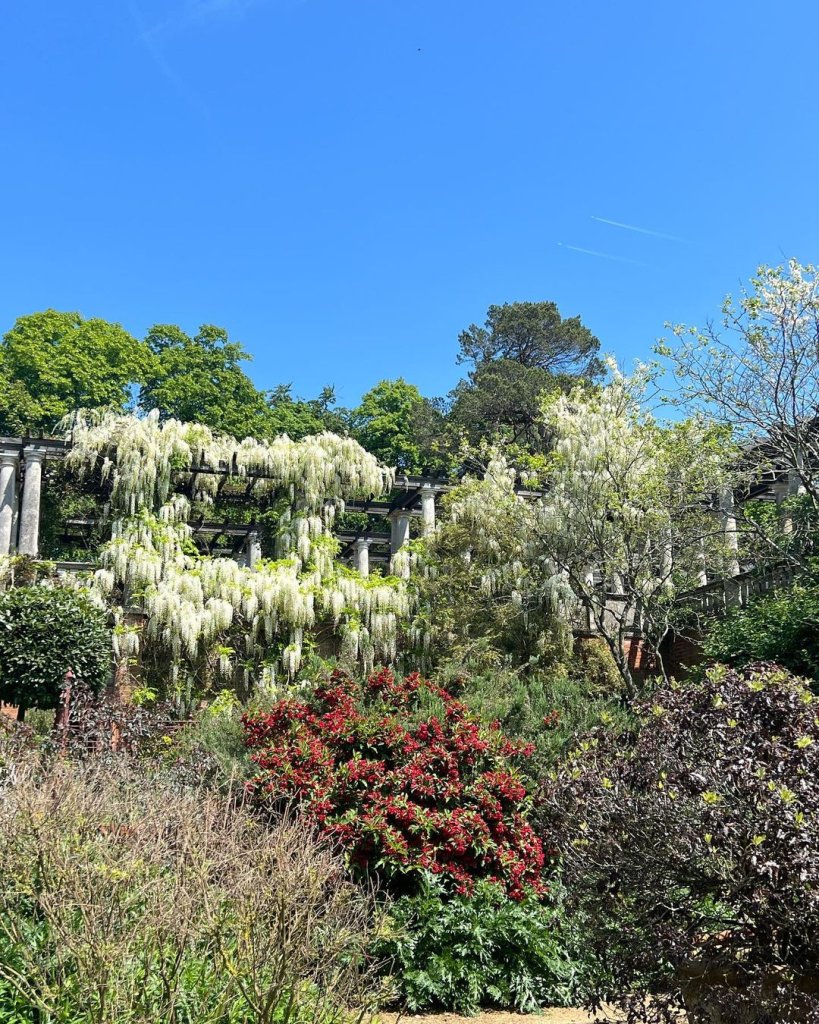 Pergola and Hill Gardens