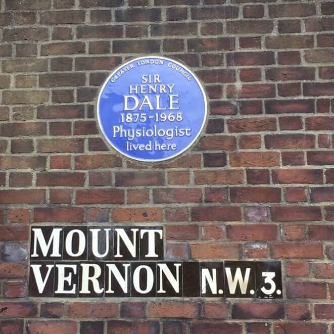 Things to Do in Hampstead 1 1