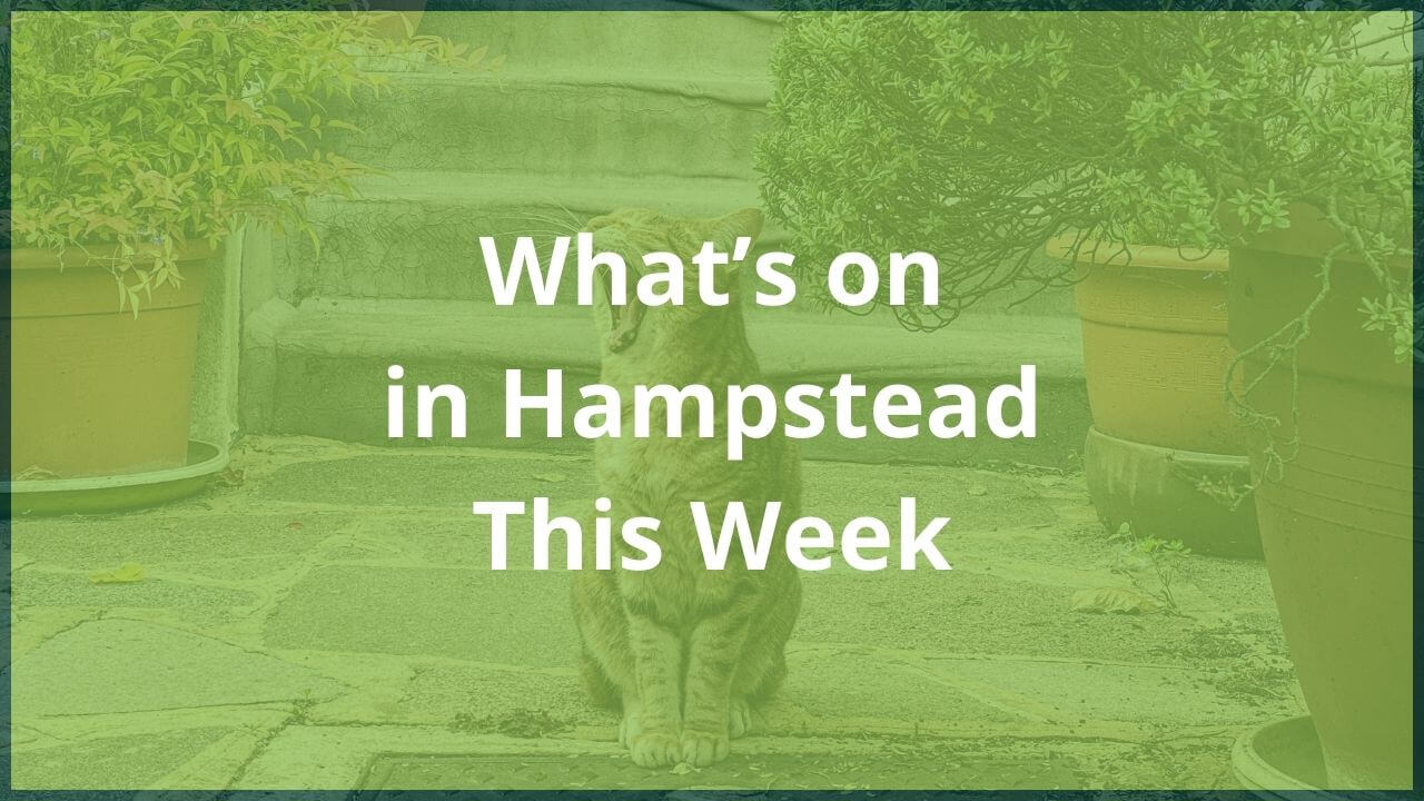 whats on in hampstead 2