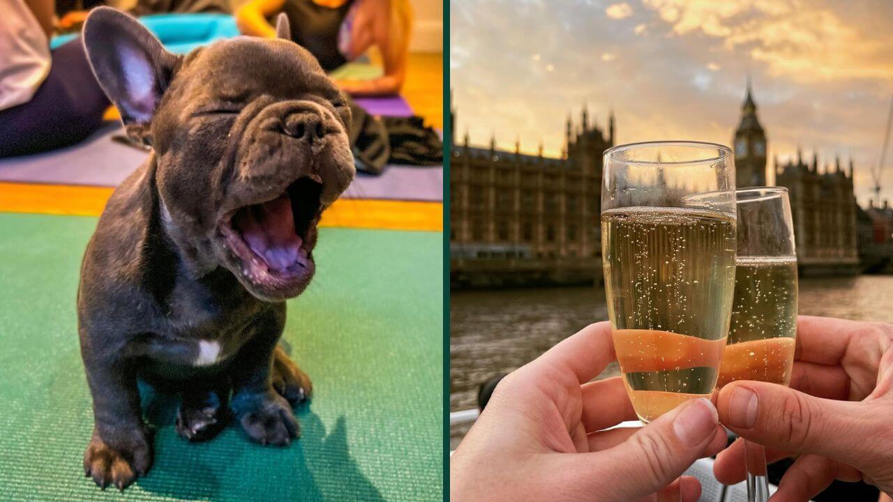 Birthday Ideas in London 15